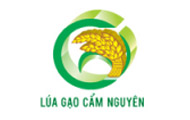 Công ty Cổ phần Thép Cẩm Nguyên