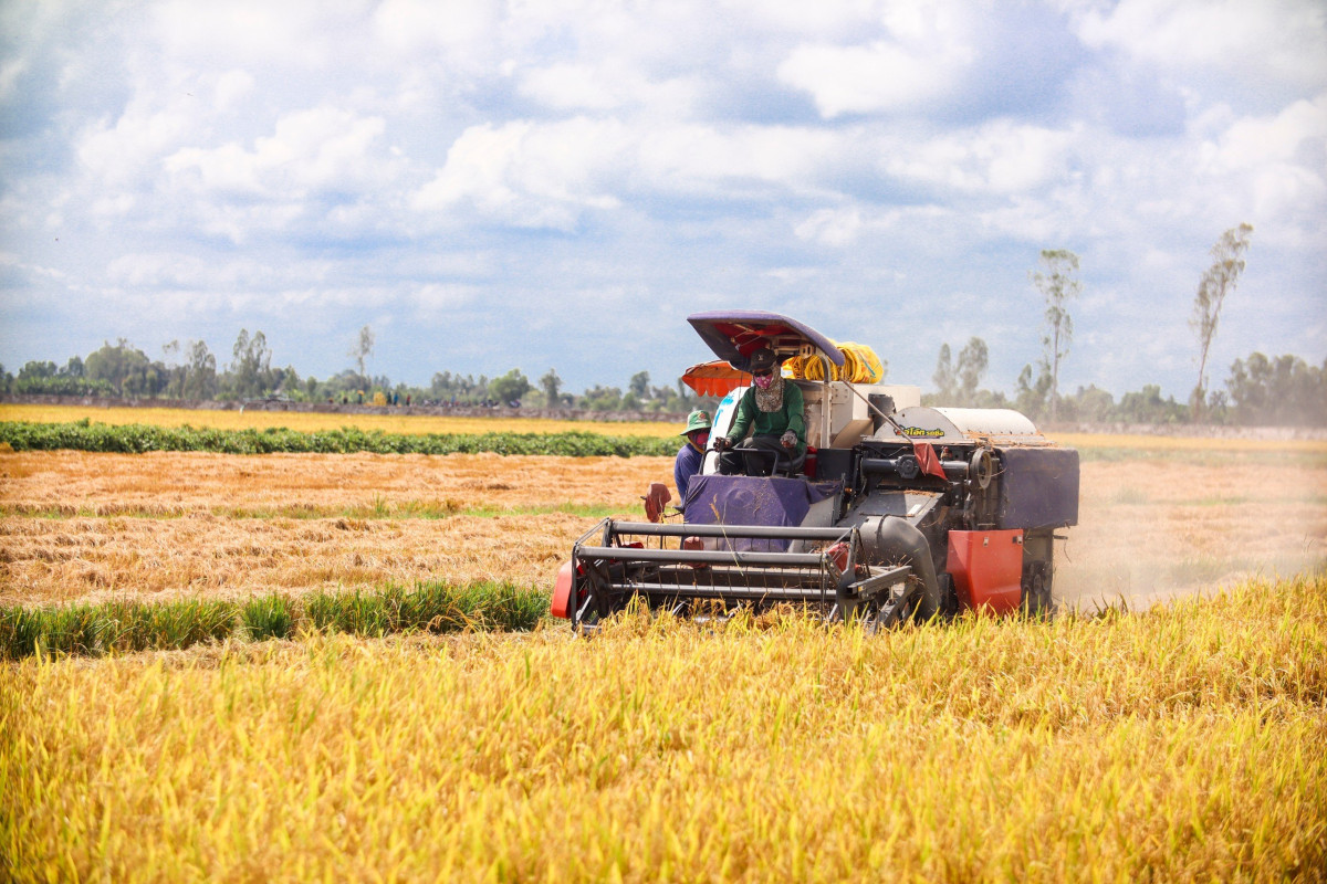 Long An vững tin bước vào năm mới 2024